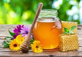 Фото: «Zsoborkem.cerkov.ru» Россиялик фитотерапевт ва