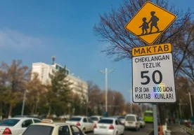 Ўзбекистонда боғча ва мактаблар олдида рухсат этилган