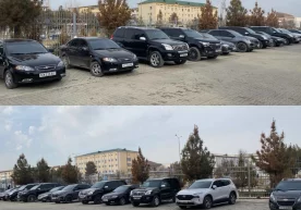 Куни кеча Қашқадарё вилоятида автомашиналарнинг давлат