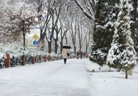 Ўзгидромет 1–4 декабрь оралиғида мамлакат бўйлаб кутилган