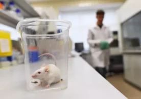 Foto: Ferra.ru Uxan (Xitoy) laboratoriyasi mutaxassislari