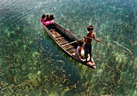 Сиз дунёдаги энг яхши фотограф бўлишингиз мумкин. Аммо энг