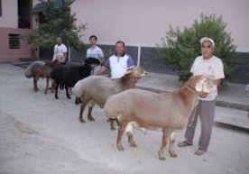 Foto: Jo‘rabek Kamalov Internet nashrlarda Qozog‘istonda