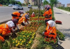 Тошкент шаҳрида мавсумий гул кўчатларини экиш ишларига