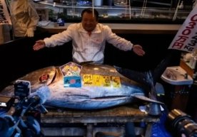 Японияда йил боши анъанавий равишда катта қизиқиш