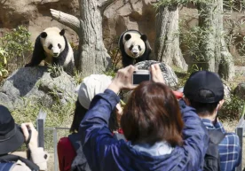1972 йилдан бери биринчи марта Япония пандаларсиз қолади.