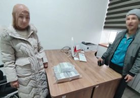 Мажбурий ижро бюроси Поп туман бўлими давлат ижрочиси