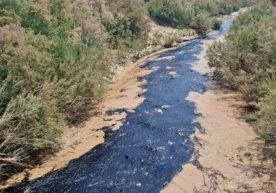 Стало известно, что в арыке на территории Байсунского