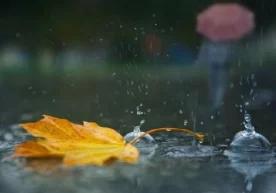 Об-ҳавони кузатиш бош маркази 13 октябрда мамлакатимизда