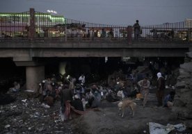 «Толибон» гиёҳвандликка қарши «уруш» очди фото