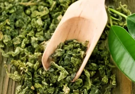 2026 йилнинг январь ойида Ўзбекистонга 14 та хорижий