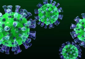 Австралиялик олимлар Хитойдан ташқарида биринчи бўлиб