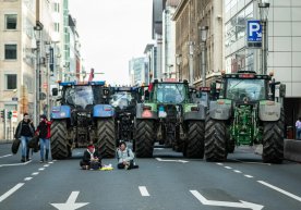 Деҳқонлар «қўзғолони»: европалик фермерлар нимадан норози? фото