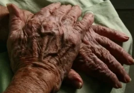 Олимлар инсон қаришига таъсир қилувчи яна бир муҳим омилни