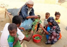 Ямандаги вазият гуманитар фалокат ёқасида турибди,