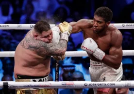 WBA, WBO, IBF, IBO yo‘nalishlari bo‘yicha jahon chempioni