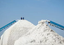 Халқаро ўзбек пахта ва тўқимачилик ярмаркаси 45 дан зиёд