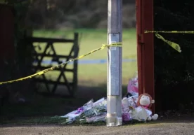 Британиянинг Ёрк шаҳрида 7 ёшли қизни робот деб ўйлаб