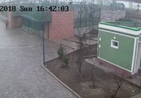 Andijondagi hayvonot bogʻi qorovuli sherlar qafasiga kirgani tasvirlangan video фото