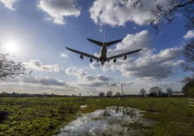 Ҳисоботга кўра, агар парвозлар тўхтатилмаса ва гўшт