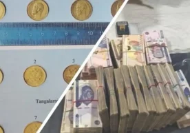 Қашқадарё вилоятининг Муборак туманида ўтказилган тезкор