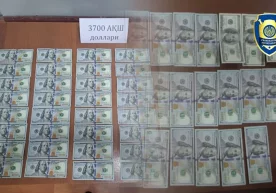 Фото: Иқтисодий жиноятларга қарши курашиш департаменти