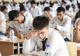 Ўзбекистонда 2025/2026 ўқув йили учун давлат олий таълим