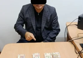 Навоий давлат университетида коррупция билан боғлиқ