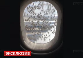 Россия пойтахти Москва шаҳридаги Внуково аэропортида бир