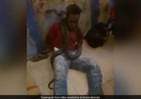 Politsiyachilar o‘g‘irlikda gumonlangan shaxsni ilon yordamida qiynashdi (video) фото