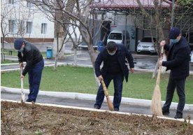 МИБ: Ҳашар – ободлик белгиси фото