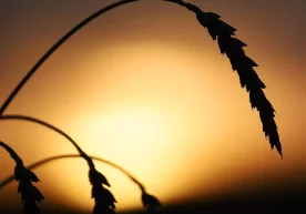 Қозоғистон Молиявий мониторинг агентлиги Россия донини