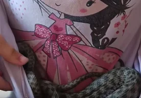 In Uzbekistan, a little girl surprised her parents and