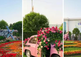 Toshkent shahrida 6–7–8–9 may kunlari “Gullar festivali”