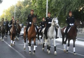 Milliy gvardiya sotib olayotgan donasi 2 mlrd so‘mlik otlar: nega bu darajada qimmat? фото