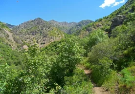 Ўзбекистонда 2026 йил 25 март куни қабул қилинган