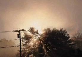 Шанба, 22-ноябрь куни Ўзбекистон ҳудудларида ҳаво ҳарорати