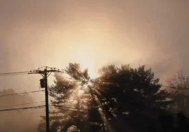 Шанба, 22-ноябрь куни Ўзбекистон ҳудудларида ҳаво ҳарорати