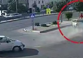 Жорий йилнинг 31 май куни Тошкент шаҳрида аянчли