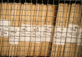 Ўзбекистонда тартибга солиш юкини камайтириш мақсадида 800