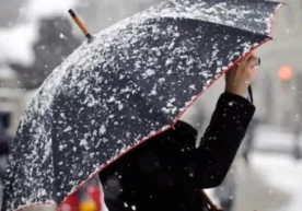 “O‘zgidromet” ma’lumotlariga ko‘ra, 24-yanvar kuni