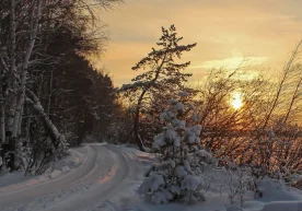 O‘zbekistonda dekabr normaga nisbatan bir oz issiqroq
