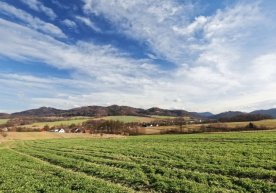 O‘zbekistonda 23 mln gektar qishloq yerlarining elektron xaritasi yaratildi фото