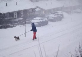 Шимолий Европа давлатларида кучли қишки бўрон кузатилди.