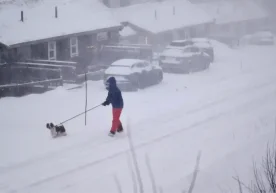 Шимолий Европа давлатларида кучли қишки бўрон кузатилди.
