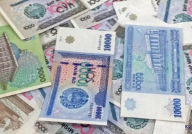 Жисмоний шахс томонидан жами йиллик даромади тўғрисидаги