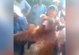 Ijtimoiy tarmoqlarda navbatdagi ko‘ngilsiz holat videosi