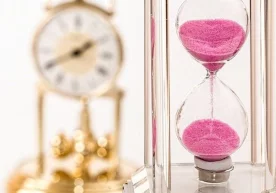 Фото: Pixabay Бак институти ва Стэнфорд университети