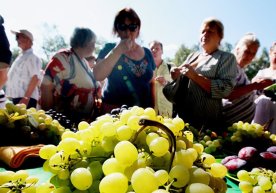 Ўзбекистон мева ва сабзавотларни энг кўп қайси давлатларга сотмоқда? фото