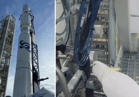 Австралиянинг машҳур стартап компанияси Gilmour Space